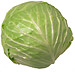 kl = cabbage