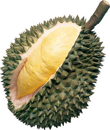 Durian fruit