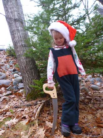 Poppy with a saw