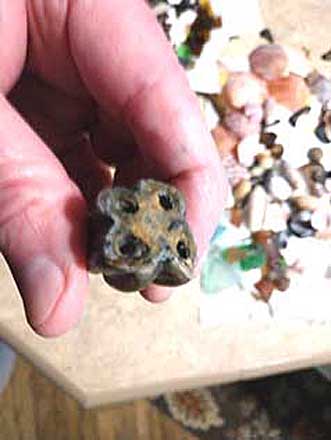 Ancient horse tooth fossil